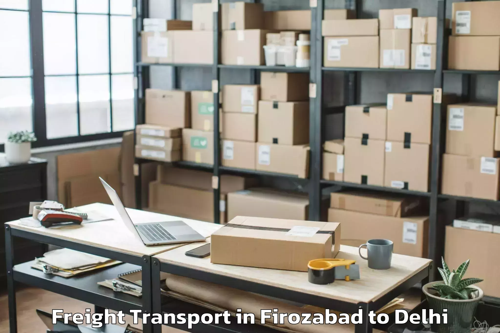 Top Firozabad to V3s East Centre Mall Freight Transport Available